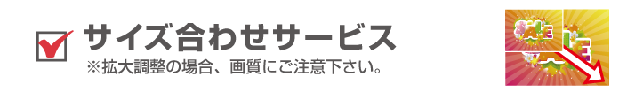 サイズ合わせサービス